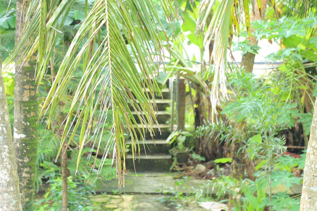 Osanda Guest Bentota Bagian luar foto